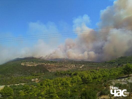 8_83_logo.jpg 8_83_logo.jpg