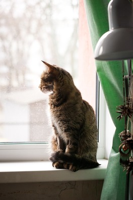 90234129_2762114127241704_3209265203556384768_n_logo.jpg 90234129_2762114127241704_3209265203556384768_n_logo.jpg