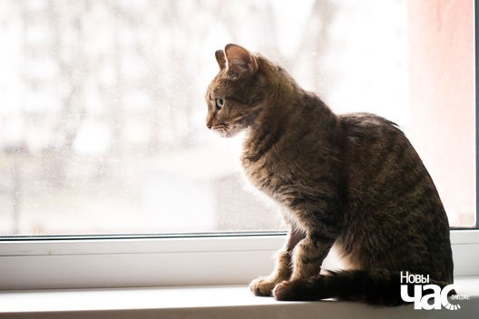 90241830_2762114147241702_7655608828062334976_o_logo.jpg 90241830_2762114147241702_7655608828062334976_o_logo.jpg