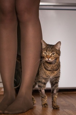 90298085_2762114023908381_1809007033567936512_n_logo.jpg 90298085_2762114023908381_1809007033567936512_n_logo.jpg