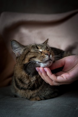 90397365_2762114017241715_4089934641144791040_n_logo.jpg 90397365_2762114017241715_4089934641144791040_n_logo.jpg