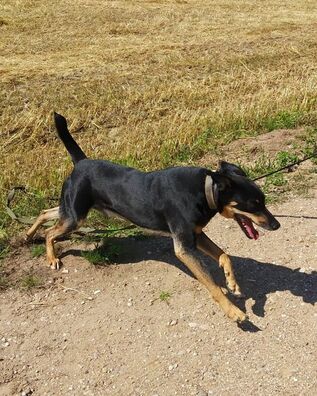 2/2 91597260_3939910726048920_7979741497266274304_o_logo.jpg