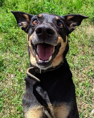 91645522_3939910432715616_8405974094670987264_o_logo.jpg 91645522_3939910432715616_8405974094670987264_o_logo.jpg