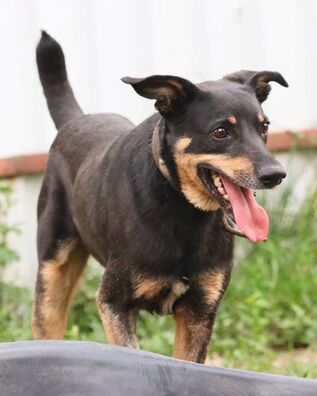 92024437_3939910889382237_8639855009766309888_o_logo.jpg 92024437_3939910889382237_8639855009766309888_o_logo.jpg