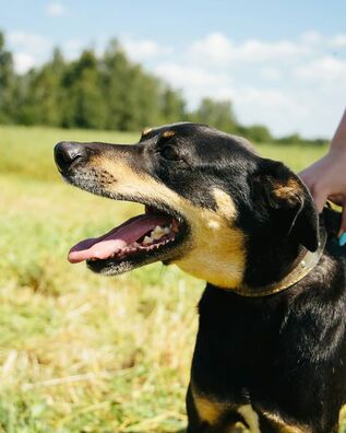 1/2 92242632_3939910589382267_9041124153440075776_o_logo.jpg