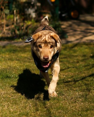 92567936_3942771579096168_347706950122733568_n_logo.jpg 92567936_3942771579096168_347706950122733568_n_logo.jpg