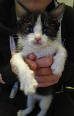 96236111_10157489209929075_5989140570658832384_n_logo.jpg 96236111_10157489209929075_5989140570658832384_n_logo.jpg