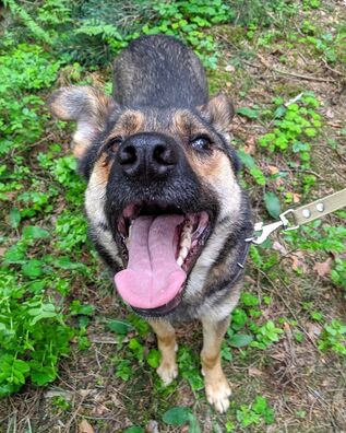 99098494_4182650528441604_2422796222814224384_o_logo.jpg 99098494_4182650528441604_2422796222814224384_o_logo.jpg