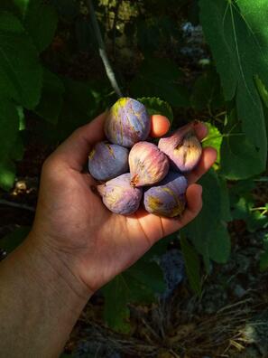 9_67_logo.jpg 9_67_logo.jpg