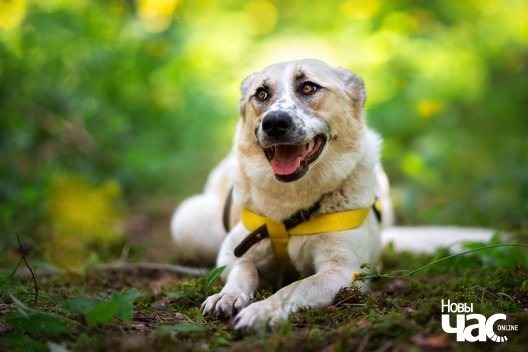 9tajdcrgmgy_logo.jpg 9tajdcrgmgy_logo.jpg