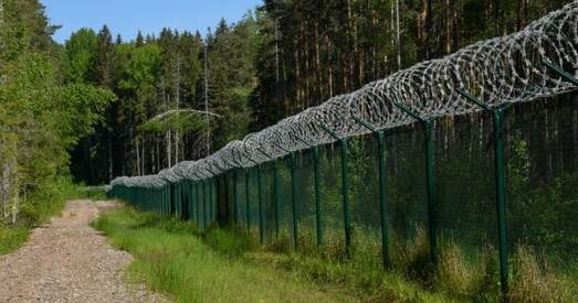 Латвійскія памежнікі затрымалі 38 мігрантаў на мяжы з Беларуссю