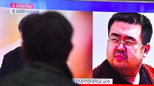 Брата лідара КНДР забілі з дапамогай атруты, самай таксічнай з усіх штучна сінтэзаваных чалавекам і прылічанай ААН да хімічнай зброі масавага паражэння. Брата лідара КНДР забілі з дапамогай атруты, самай таксічнай з усіх штучна сінтэзаваных чалавекам і прылічанай ААН да хімічнай зброі масавага паражэння.