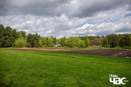 13/13 _bataniczny_sad_ruzounik_szprot_i_myszamabil_minsk_fota_dzmitryeu_dzmitryj_novy_czas_logo.jpg