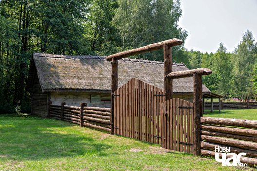 1/6 _belarus_albuc_sjadziba_2023_fota_novy_czas__2__logo.jpg