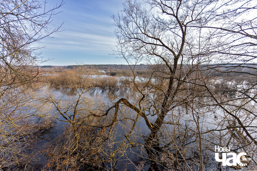 3/5 _belarus_berazino_sjadziba_2024_fota_novy_czas__3__logo.jpg