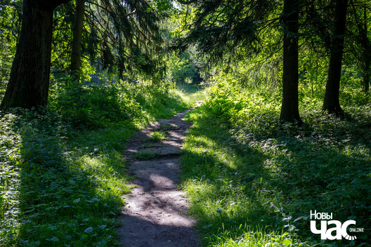 8/13 _belarus_dubrova_zapavednik_pryroda_fota_dzmitryeu_dzmitryj_novy_czas__1__logo.jpg