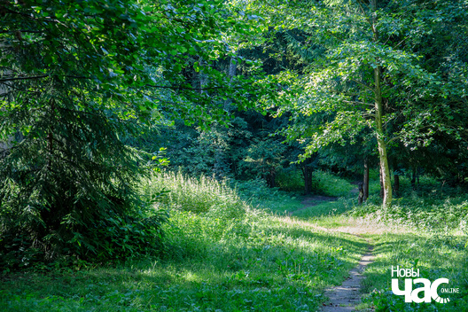 6/13 _belarus_dubrova_zapavednik_pryroda_fota_dzmitryeu_dzmitryj_novy_czas__3__logo.jpg