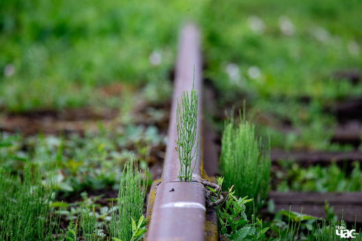 _belarus_ekanomika_pradpryemstvy_czyhnuka_fota_novy_czas__5__logo.jpg _belarus_ekanomika_pradpryemstvy_czyhnuka_fota_novy_czas__5__logo.jpg