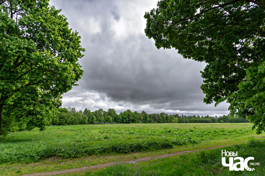 3/3 _belarus_fler_janava_sjadziba_bohvicy_2024_fota_novy_czas__3_.jpg