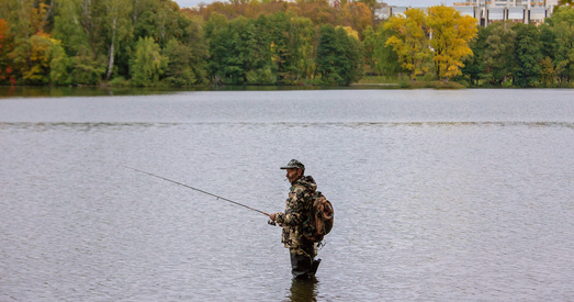 Ці азначае запыт на спакой падтрымку дзейснай улады?