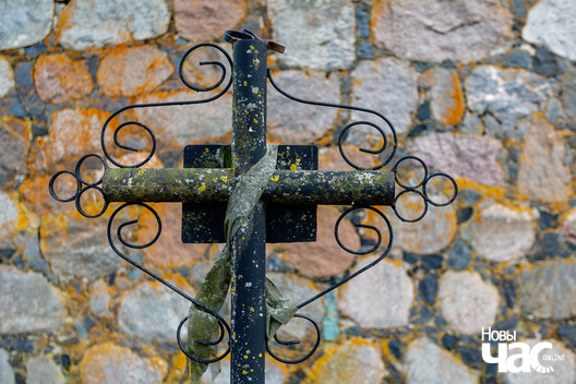 5/5 _belarus_izjumava_pahavalnja_zabely_2024_fota_novy_czas__5__logo.jpg