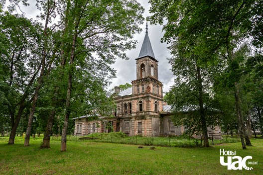 1/4 _belarus_jastrembel_sjadziba_2025_fota_novy_czas.jpg