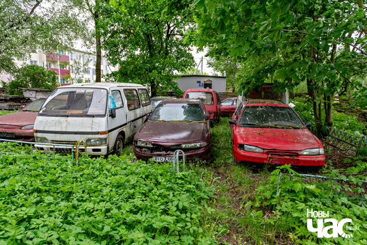 2/8 _belarus_karaneuszczyna_sjadziba_lopaci_pracjah_2024_fota_novy_czas__2_.jpg