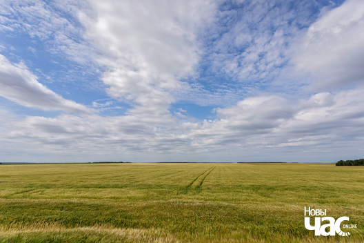 3/5 _belarus_krajavidy_2023_fota_novy_czas__3__logo.jpg