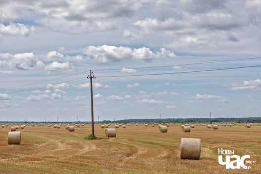1/3 _belarus_leta_krajavid_2025_fota_novy_czas.jpg