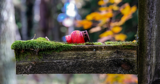 Суды над мёртвымі — спроба апраўдаць існаванне рэжыму