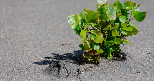 Гальштук у кішэні. Сучасныя дзеці — якія яны?
