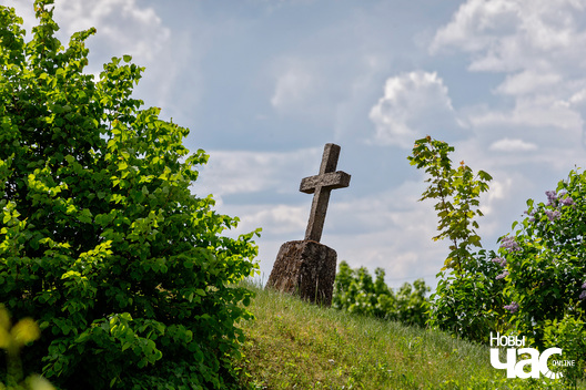 _belarus_mohilki_starasc_zyccjo_2023_fota_novy_czas_logo.jpg _belarus_mohilki_starasc_zyccjo_2023_fota_novy_czas_logo.jpg