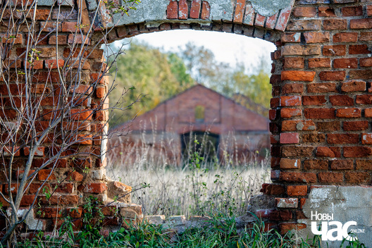 3/4 _belarus_paety_hadyka_2023_fota_novy_czas__3__logo.jpg