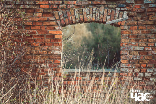 1/4 _belarus_paety_hadyka_2023_fota_novy_czas_logo.jpg