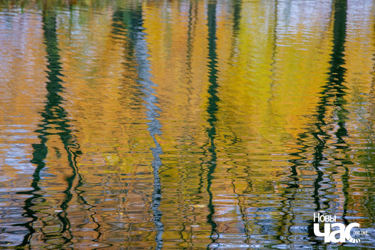 1/4 _belarus_paety_kljasztorny_2023_fota_novy_czas_logo.jpg