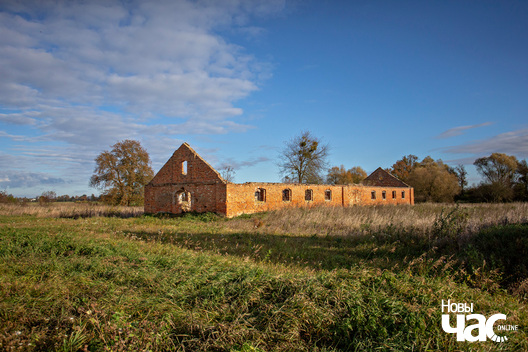 2/4 _belarus_paety_zylka_2023_fota_novy_czas__2__logo.jpg