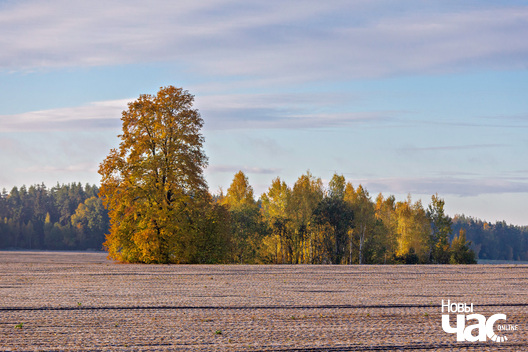 3/4 _belarus_paety_zylka_2023_fota_novy_czas__3__logo.jpg