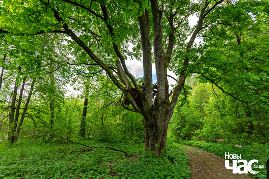 4/6 _belarus_paulinava_sjadziba_bohvicy_park_2024_foto_novy_czas__3_.jpg