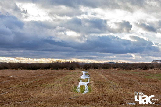 1/4 _belarus_pryroda_vandrouka_studzen_2025_fota_novy_czas.jpg