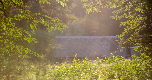 Цяжкія хваробы ва ўяўленні старажытных беларусаў і спосабы іх лячэння