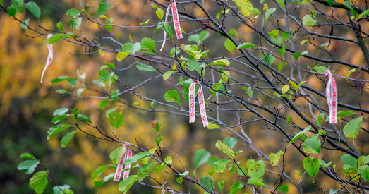 ПТСР: карысныя парады псіхатэрапеўта