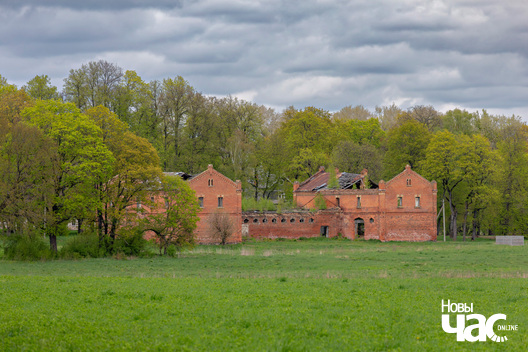 1/3 _belarus_sjadziby_hruszauka_2024_fota_novy_czas__1__logo.jpg