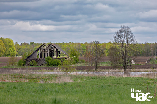 4/4 _belarus_sjadziby_hruszauka_juzaf_2024_fota_novy_czas__3__logo.jpg