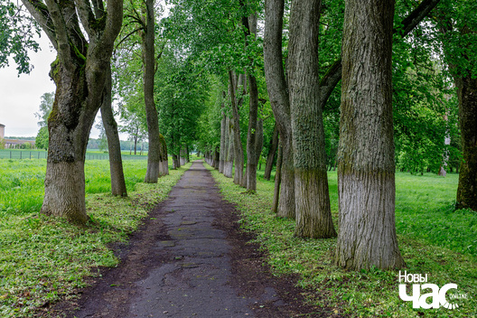 6/7 _belarus_snou_park_palac_2024_fota_novy_czas__5_.jpg