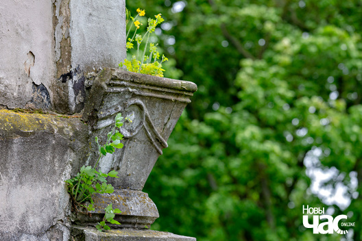 1/5 _belarus_snou_sjadziba_hartynhi_pracjah_2024_fota_novy_czas.jpg