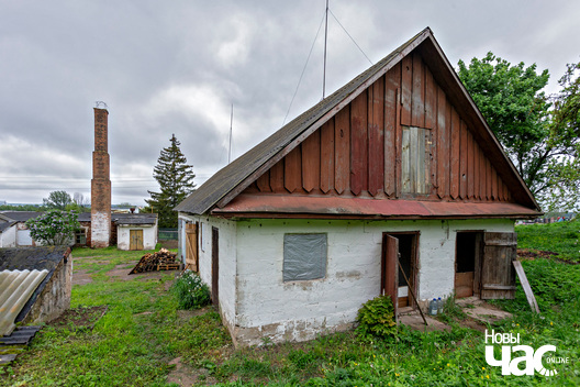 4/5 _belarus_snou_sjadziba_hartynhi_pracjah_2024_fota_novy_czas__3_.jpg