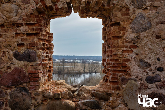 1/2 _belarus_svislacz__pracjah_2024_fota_novy_czas__2__logo.jpg