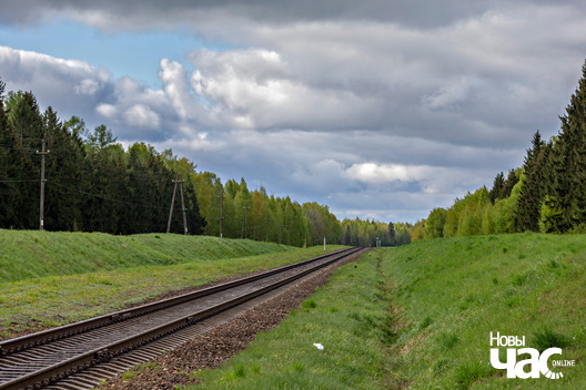 2/3 _belarus_traven_nadvor_e_vjasna_2025_fota_novy_czas__2_.jpg