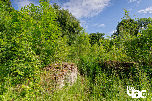 2/3 _belarus_useljub_sjadziba_2023_fota_novy_czas__2__logo.jpg