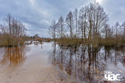 1/3 _belarus_vjasna_pavodka_njoman_dzjaljaciczy_2024_fota_novy_czas__1__logo.jpg